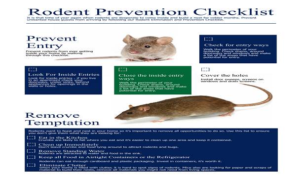 How rodent and fleas vector is controlled