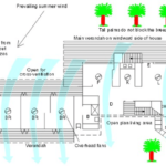 What is warm humid climates